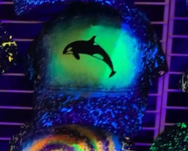 Orca Glow Hat